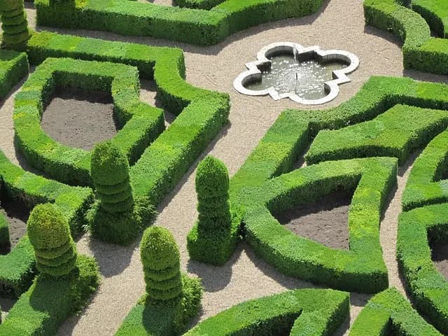Top 10 des jeux de société incontournables pour animer vos soirées