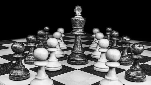 Les Meilleures Règles pour Organiser un Tournoi de Jeux de Société